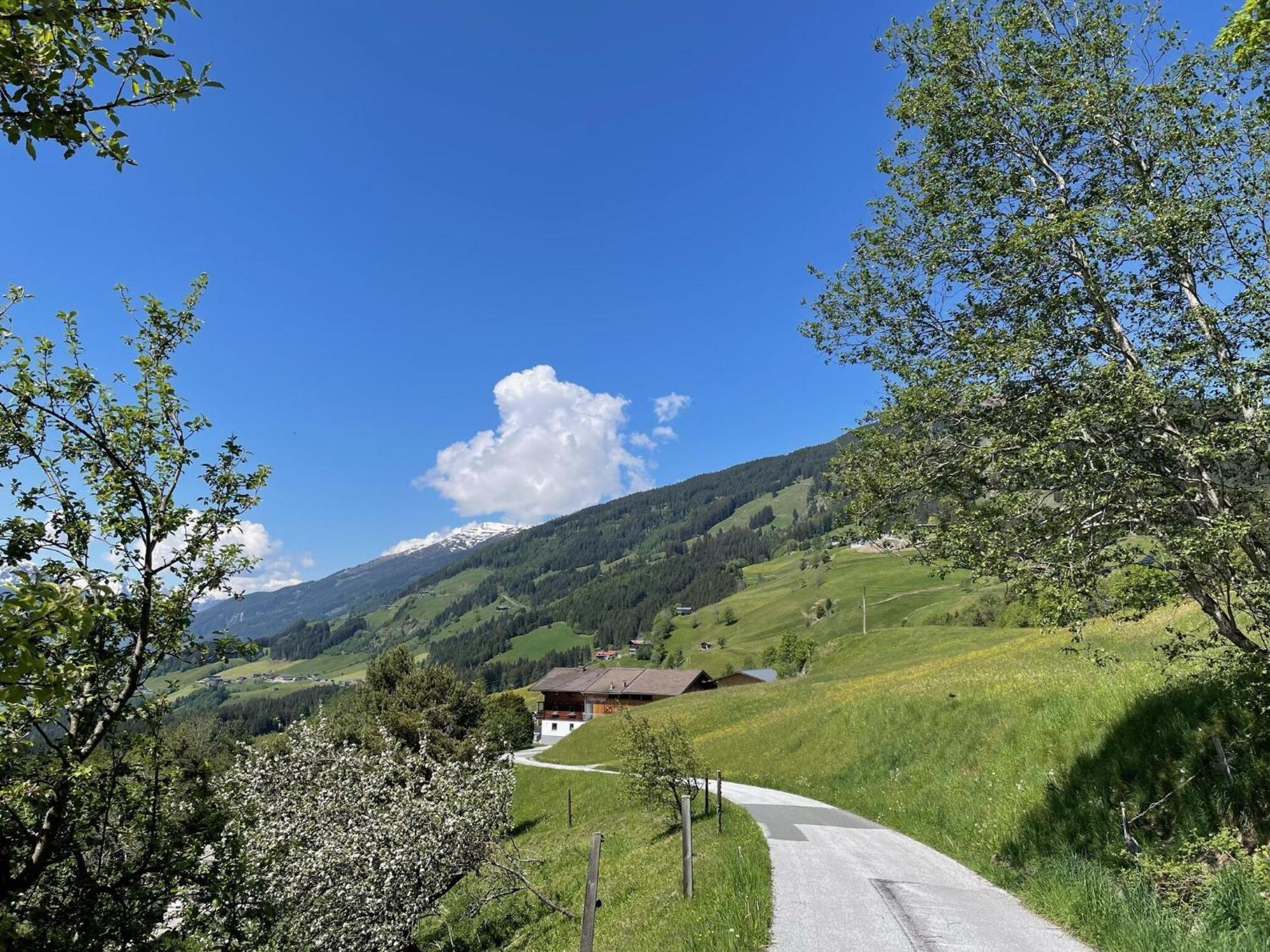 Holiday Flat Motzerngut, Mittersill Exterior foto